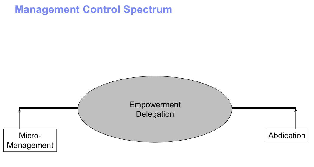 Finding the Sweet Spot: An ICT Project Manager’s Perspective on Control